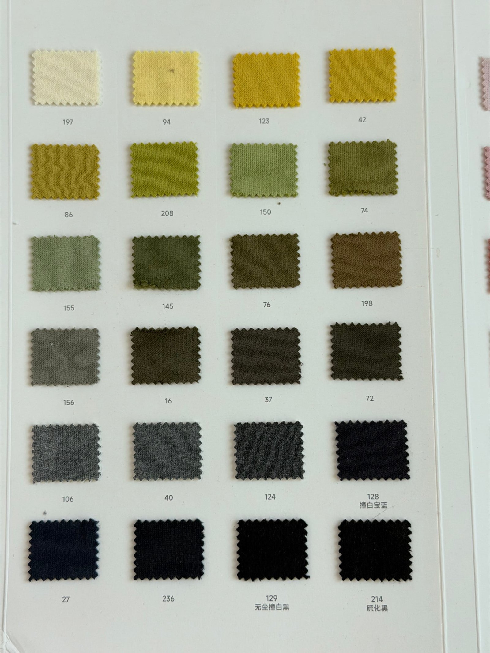Color Swatch Image